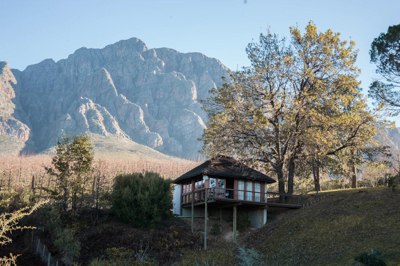 منزل الضيف كيب تاون  في Tulbagh Mountain Manor المظهر الخارجي الصورة