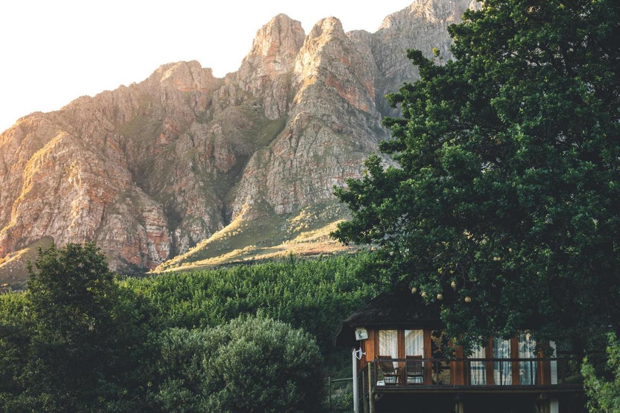 منزل الضيف كيب تاون  في Tulbagh Mountain Manor المظهر الخارجي الصورة